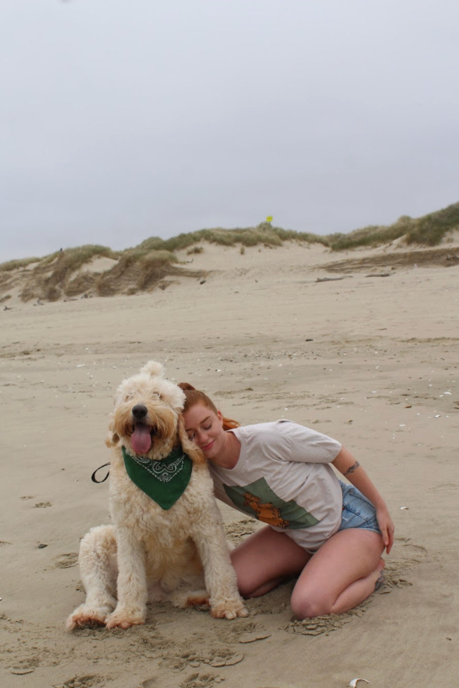 Person and dog on a sandy beach with 'Midnight Bandit' branding.